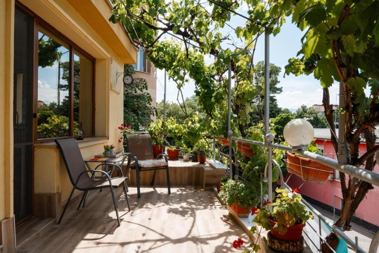 Cozy Apartment Green Terrace, Mrenicov بلوفديف المظهر الخارجي الصورة